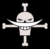   THEPIRATE